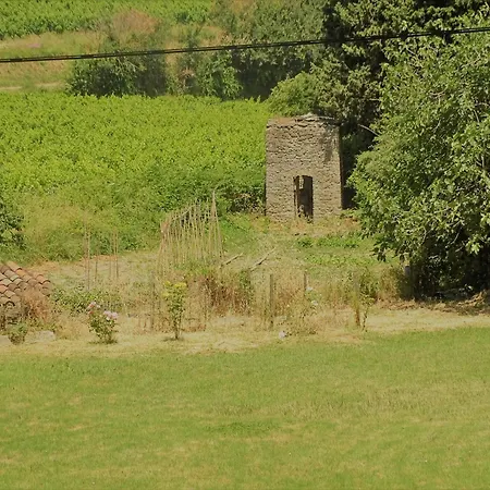 Maison d'hôtes Domaine De La Petite Tour