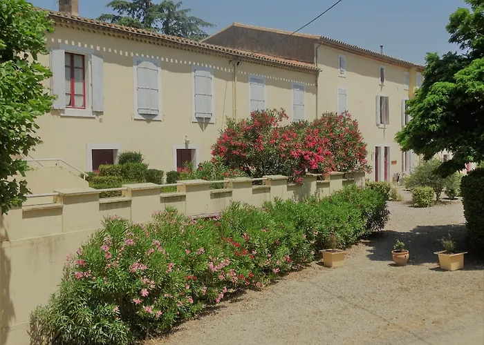Domaine De La Petite Tour