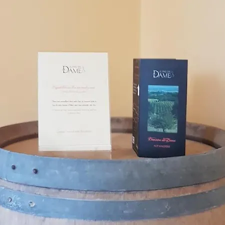 Domaine De La Petite Tour Montreal (Aude)